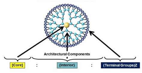  Dendrimers: rivoluzionando l'ingegneria dei materiali e la nanomedicina!