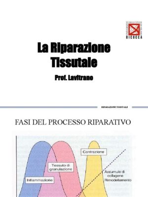  Junon: Rivoluzione nella Robotica e Riparazione Tissutale?