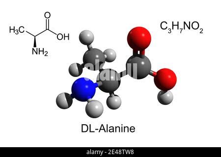  La L-Alanina: Un Aminoacido Essenziale per la Crescita e il Metabolismo Energetico!