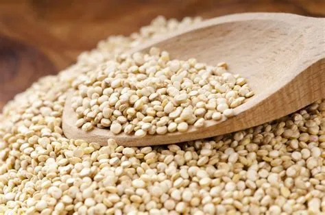  Quinoa: Un Superfood Antico per l'Alimentazione del Futuro?