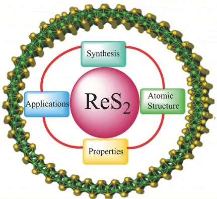  Rhenium Disulfide: Un Materiale Miracoloso per Elettronica Avanzata e Catalisi Innovativa!