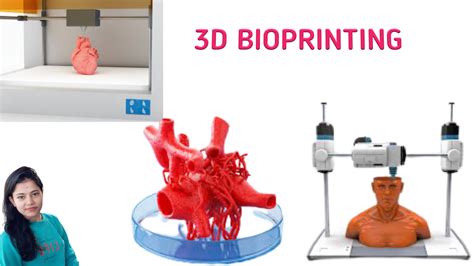  Xylitol: Un dolcificante biodegradabile per applicazioni di stampa 3D e biomedicina!